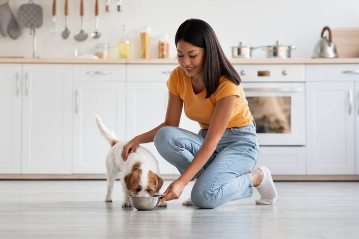 Why Proper Pet Feeding Matters